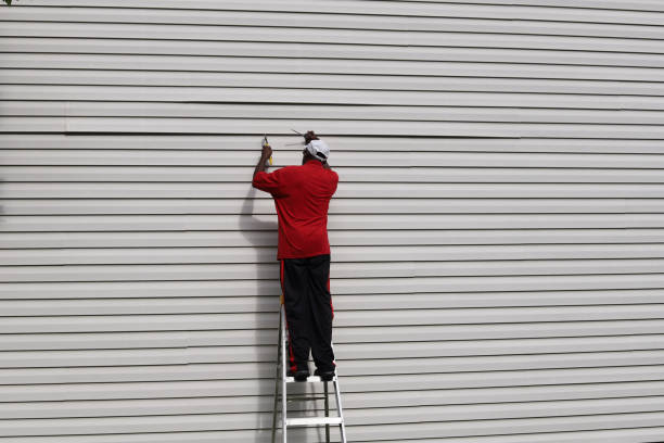 Best Historical Building Siding Restoration  in Warrenton, VA